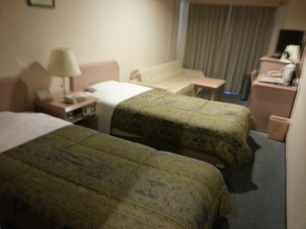 Hotel Hashimoto Sapporo Room photo